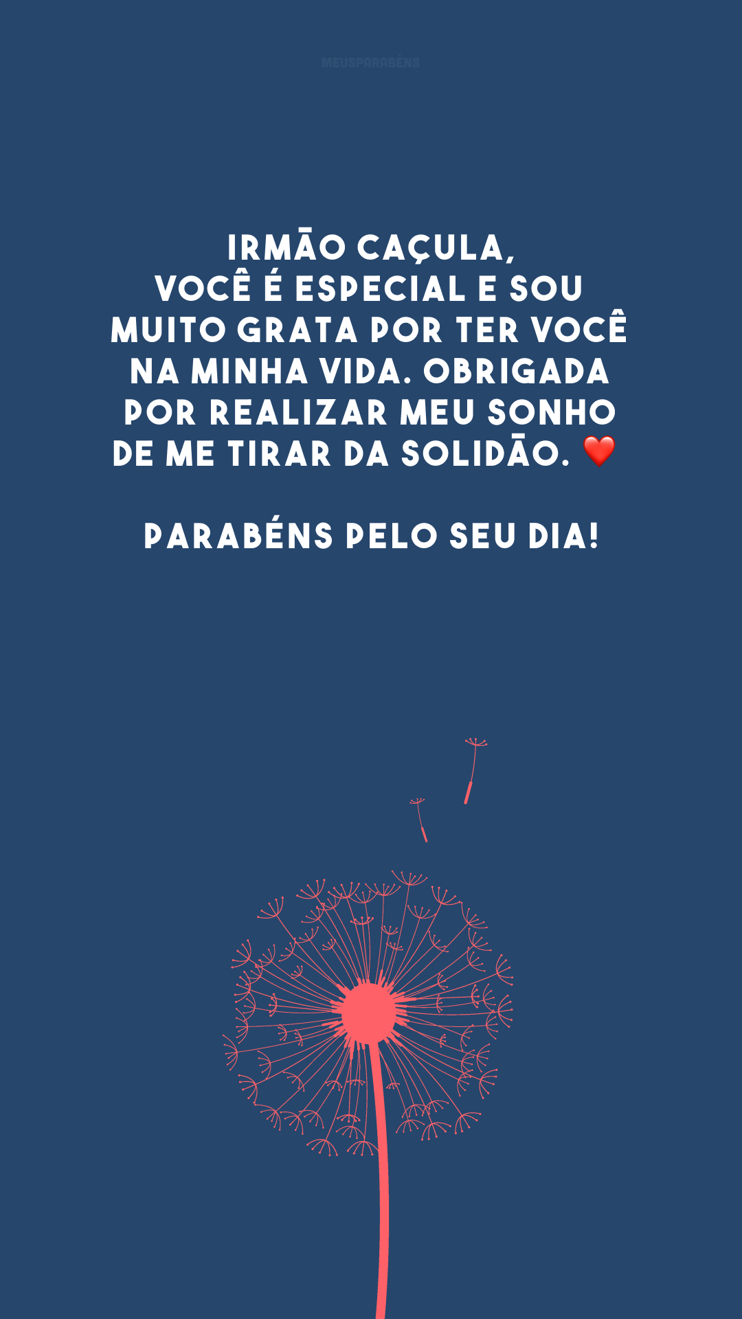 Irmão caçula, você é especial e sou muito grata por ter você na minha vida. Obrigada por realizar meu sonho de me tirar da solidão. ❤️ Parabéns pelo seu dia!