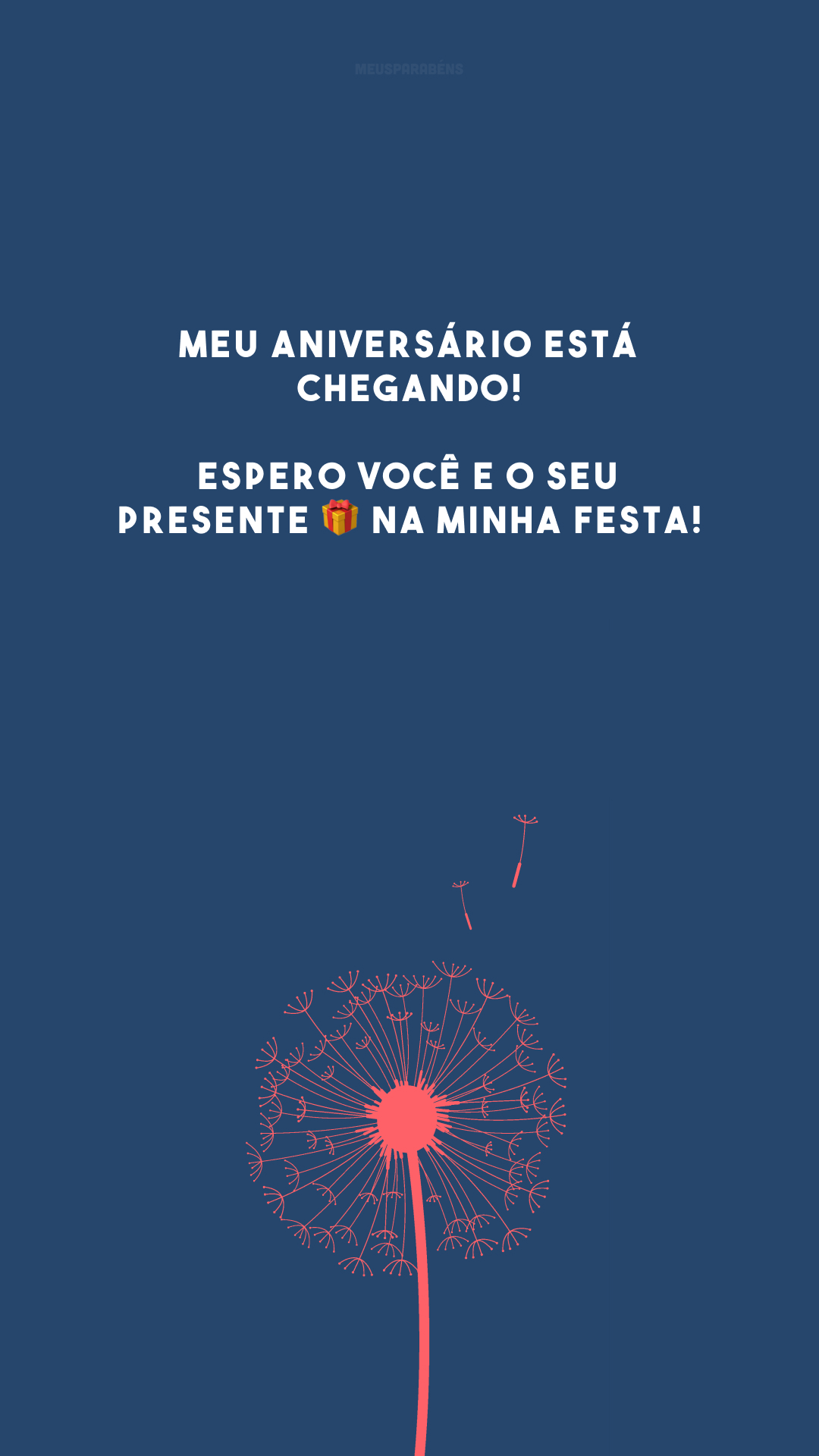 Meu aniversário está chegando! Espero você e o seu presente 🎁 na minha festa!