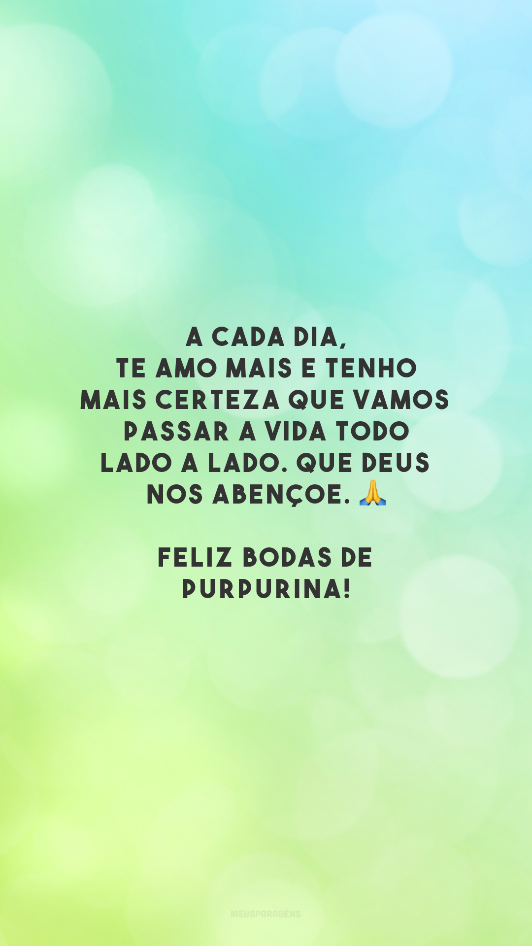 A cada dia, te amo mais e tenho mais certeza que vamos passar a vida todo lado a lado. Que Deus nos abençoe. 🙏 Feliz bodas de purpurina!