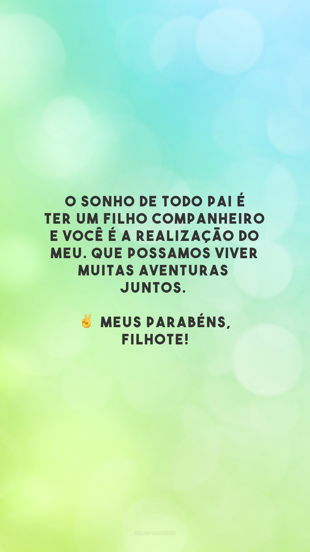 O sonho de todo pai é ter um filho companheiro e você é a realização do meu. Que possamos viver muitas aventuras juntos. ✌️ Meus parabéns, filhote!