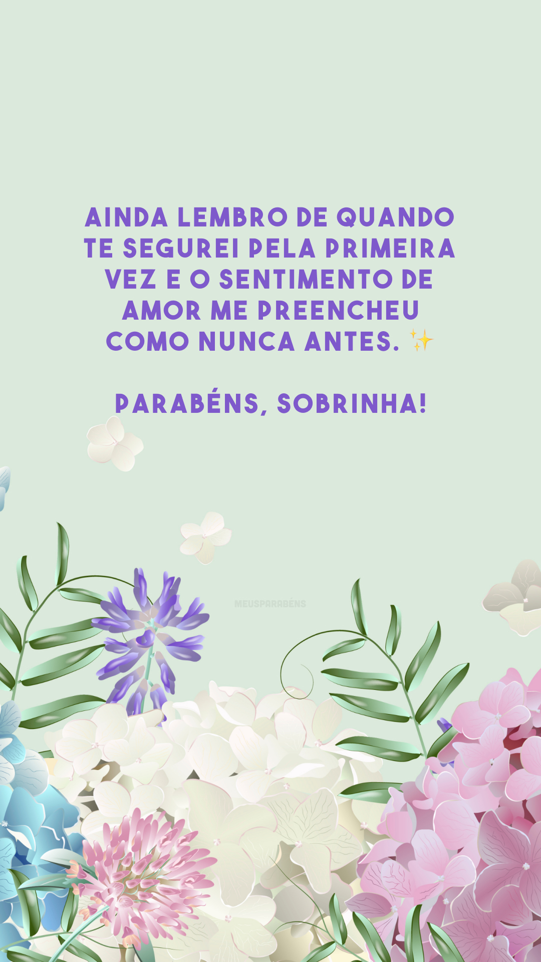 Ainda lembro de quando te segurei pela primeira vez e o sentimento de amor me preencheu como nunca antes. ✨ Parabéns, sobrinha!