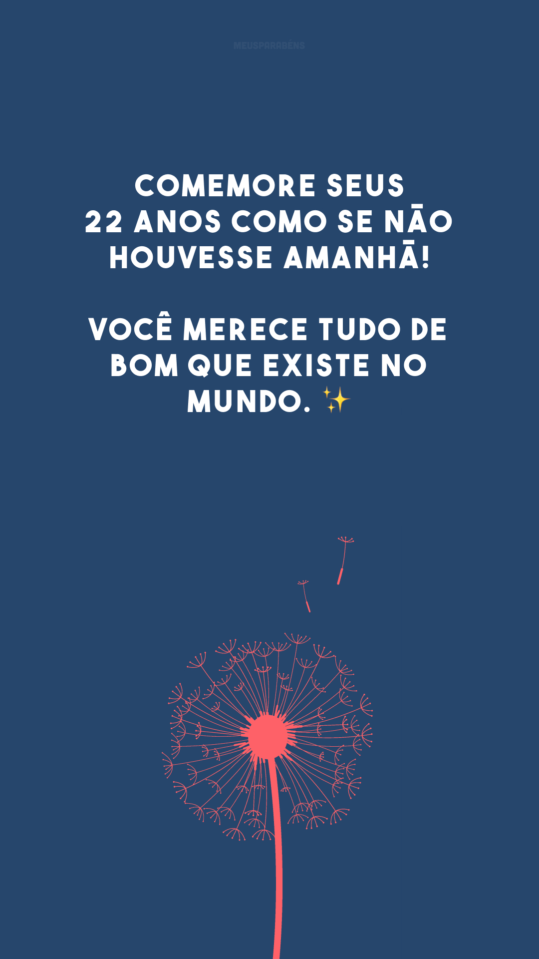 Comemore seus 22 anos como se não houvesse amanhã! Você merece tudo de bom que existe no mundo. ✨