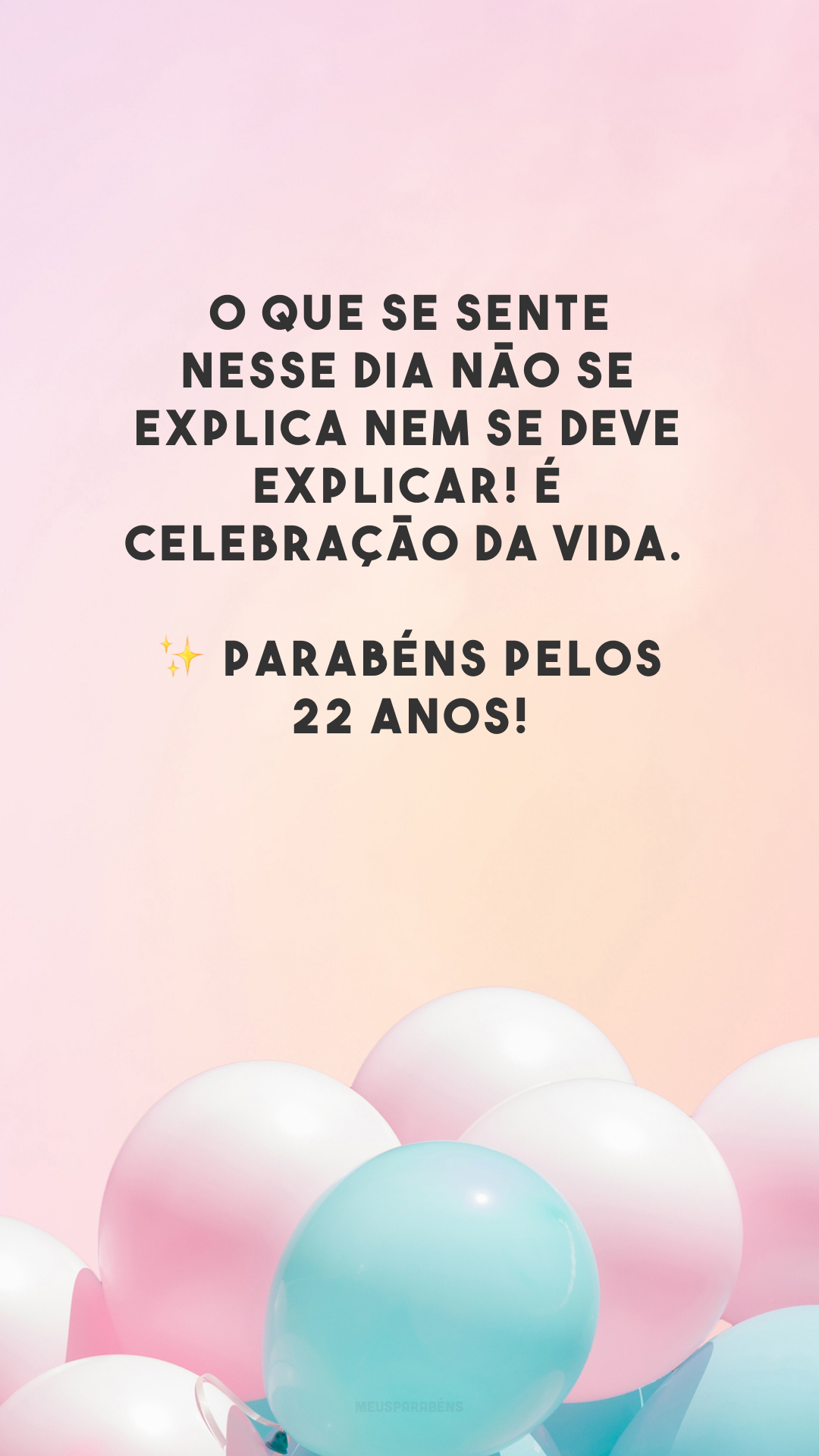 O que se sente nesse dia não se explica nem se deve explicar! É celebração da vida. ✨ Parabéns pelos 22 anos!