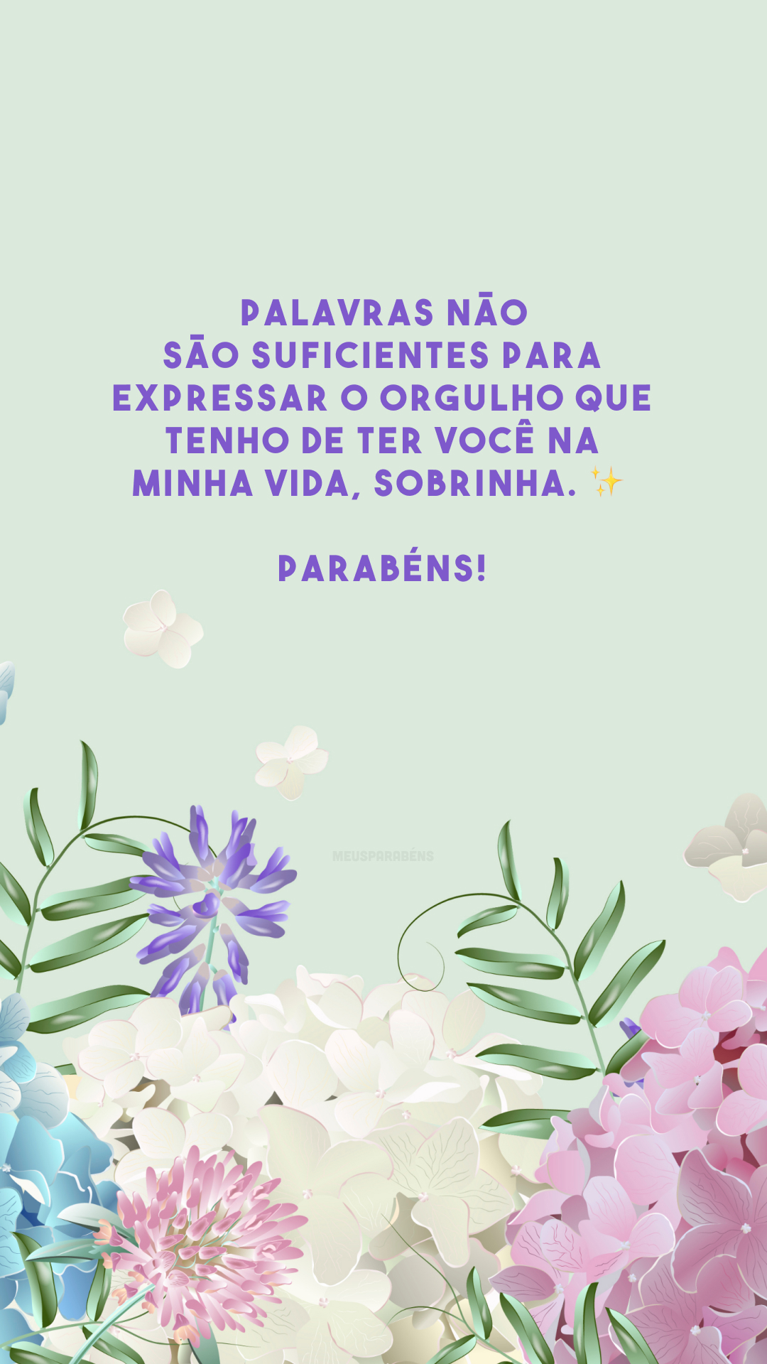 Palavras não são suficientes para expressar o orgulho que tenho de ter você na minha vida, sobrinha. ✨ Parabéns! 