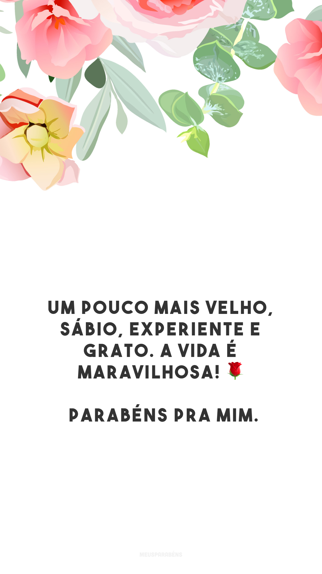 Um pouco mais velho, sábio, experiente e grato. A vida é maravilhosa! 🌹 Parabéns pra mim.